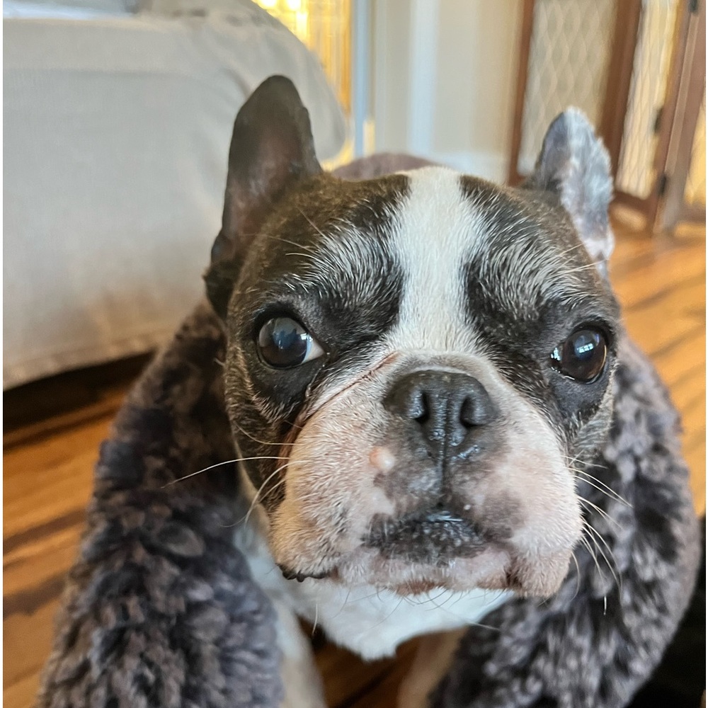 Meet your Posher, Lisa